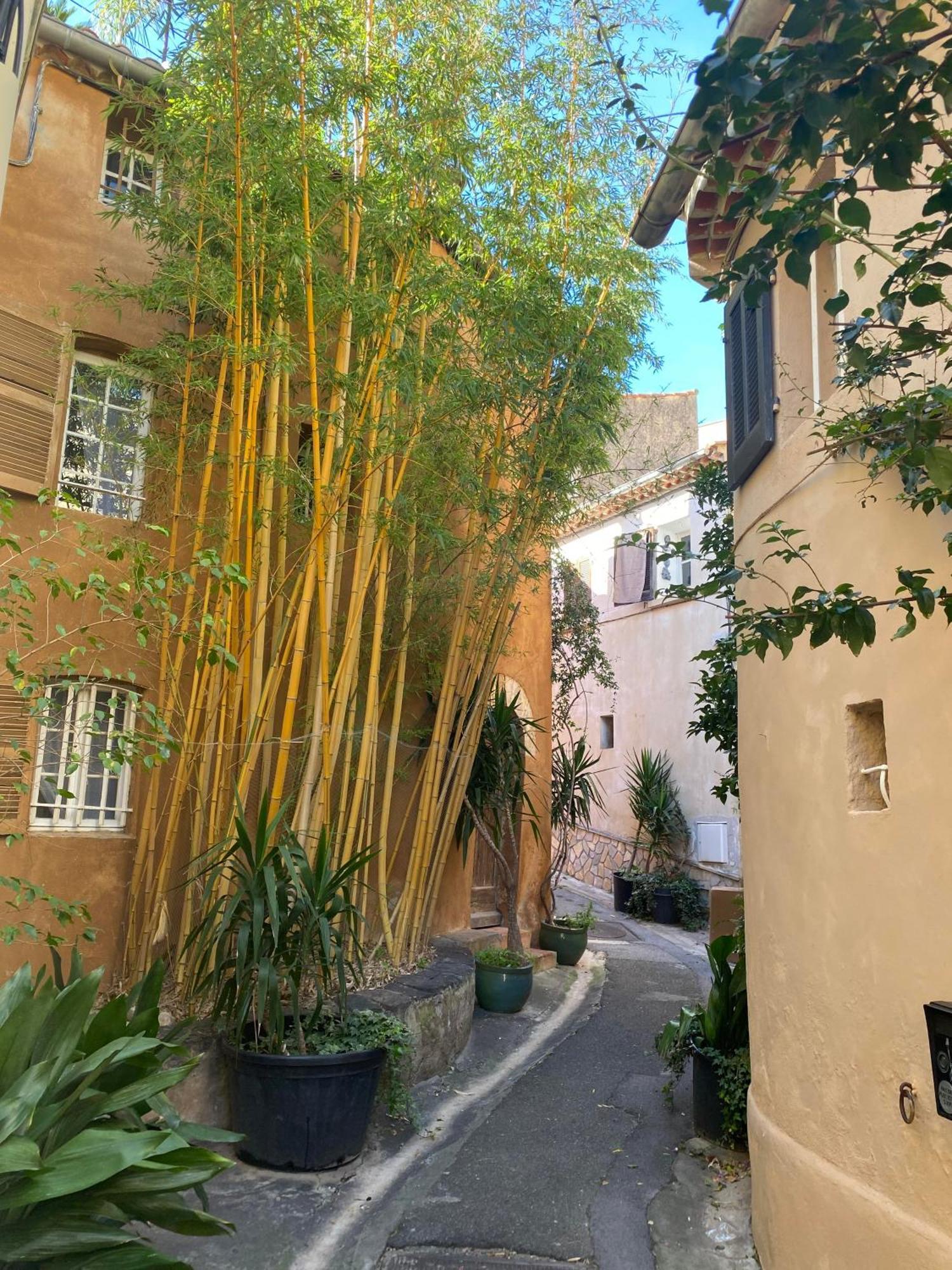 Spacieux Duplex, Vue Mer Et Belle Terrasse Hyeres Ngoại thất bức ảnh